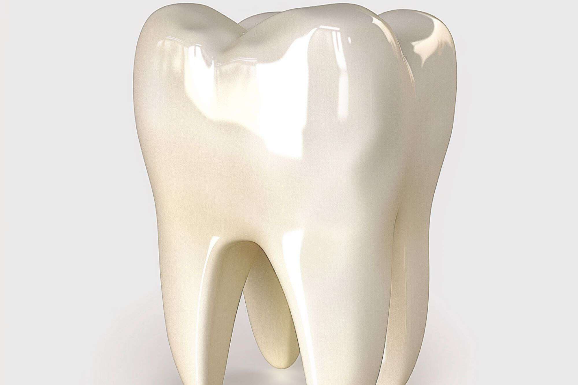 A White tooth model